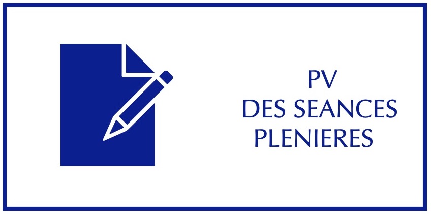 bouton_pv_pleniere.jpg