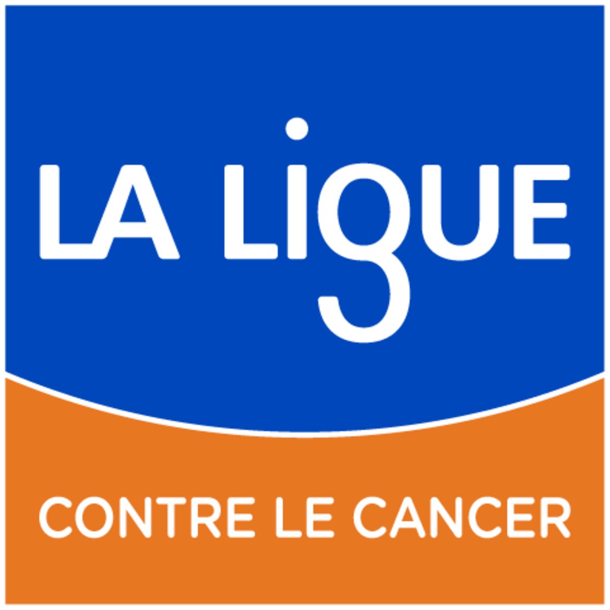 ligue_bis.jpg